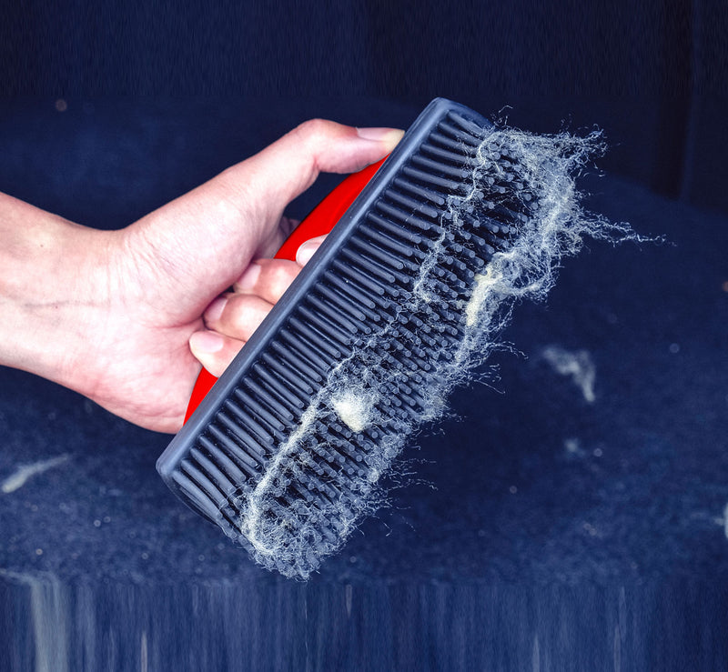 Maxshine - Carpet Lint and Hair Removal Brush